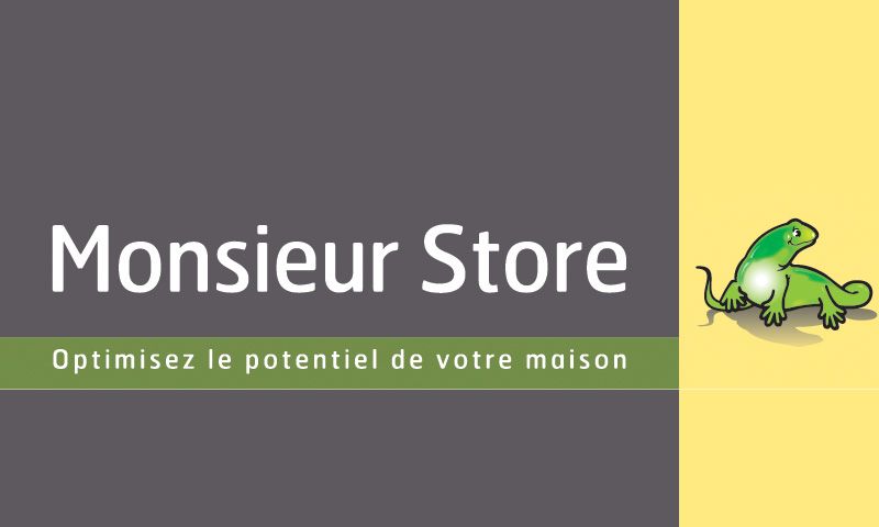 monsieur-store-logo