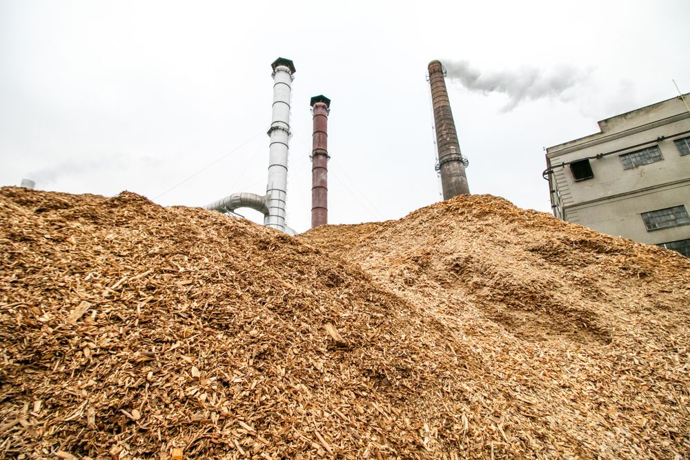 energie biomasse bois