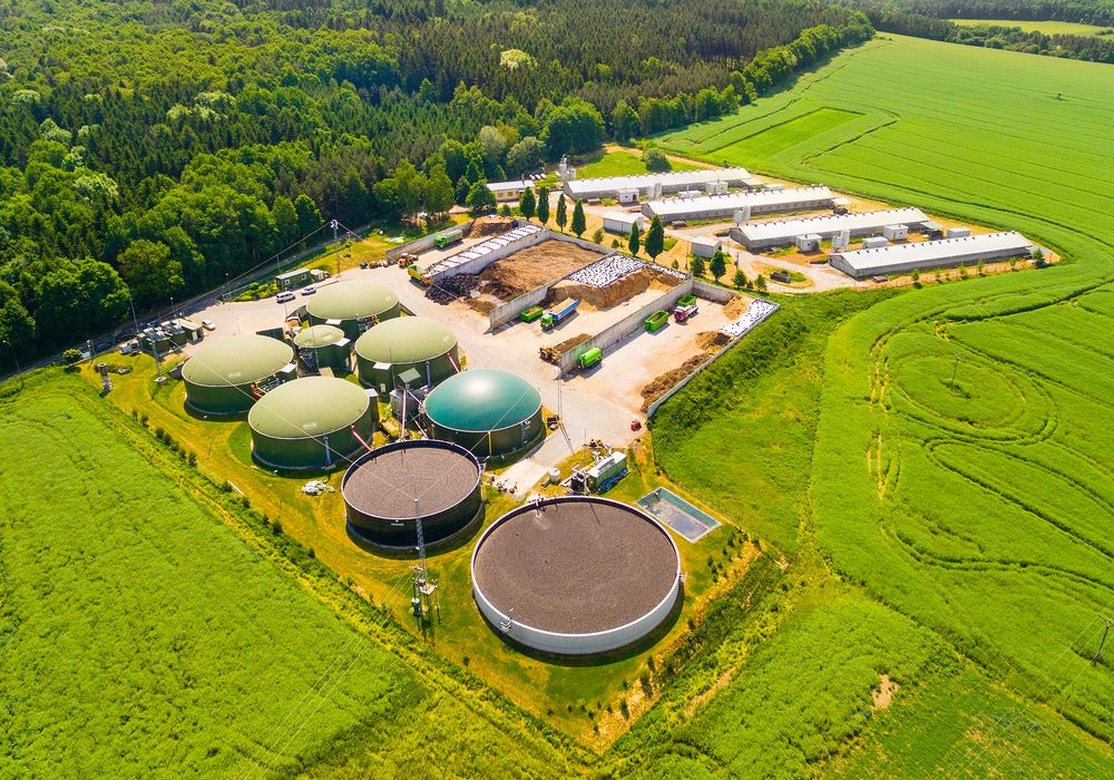 energie biomasse usine